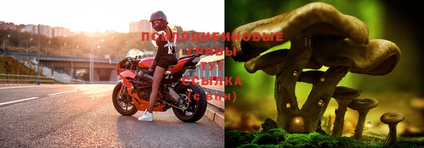 марихуана Белокуриха
