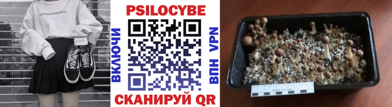 Галлюциногенные грибы GOLDEN TEACHER  Купить где  Светлый 