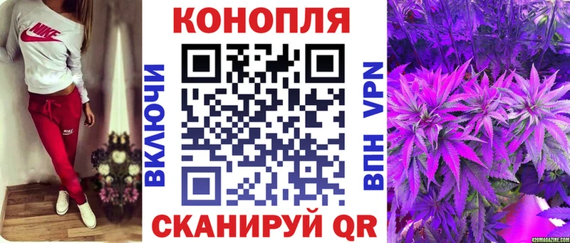 Канабис MAZAR  Купить где  Светлый 